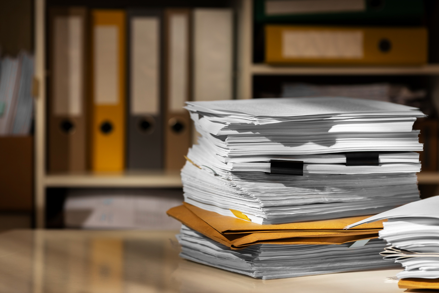 Professional document services and certification